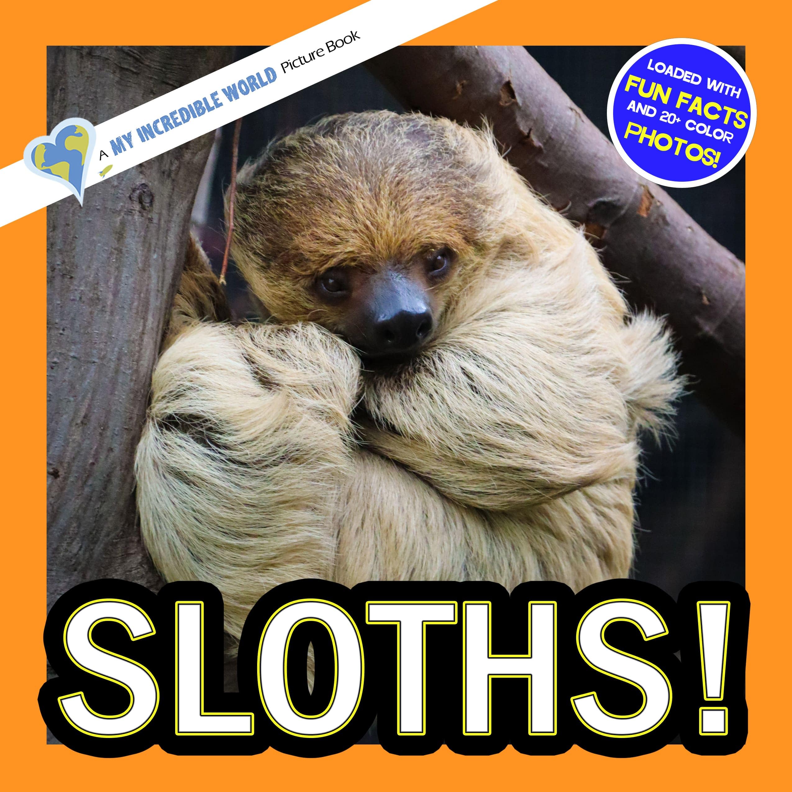 Sloths! A My Incredible World Picture Book for Children